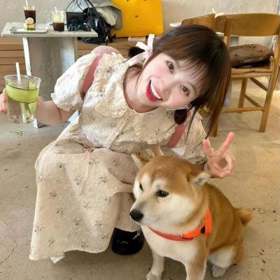 爱与梦飞翔